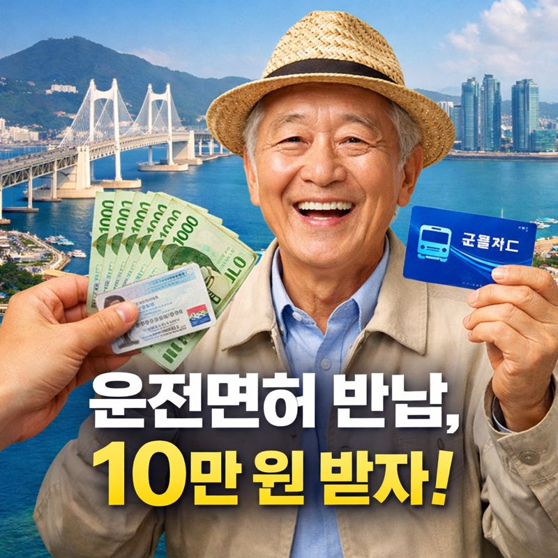 2026 부산 고령 운전면허증 반납 혜택 완벽 정리