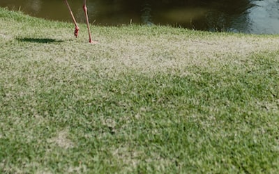 How to Make a Week's Worth of Meals in One Day