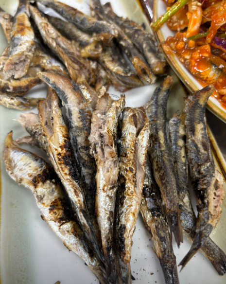 [6시 내고향] 부산 대변항 멸치요리 횟집 정보