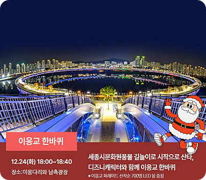  세종시 빛 축제 