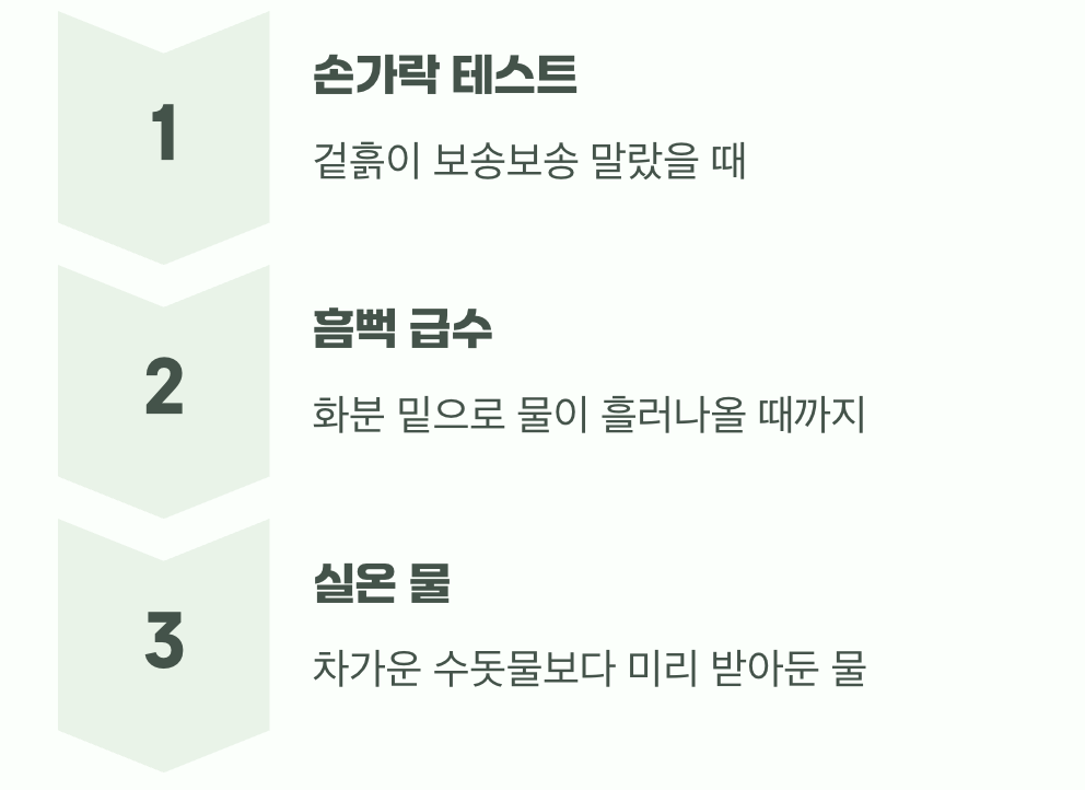 변덕스러운 물주기, 핵심은 '일관성'