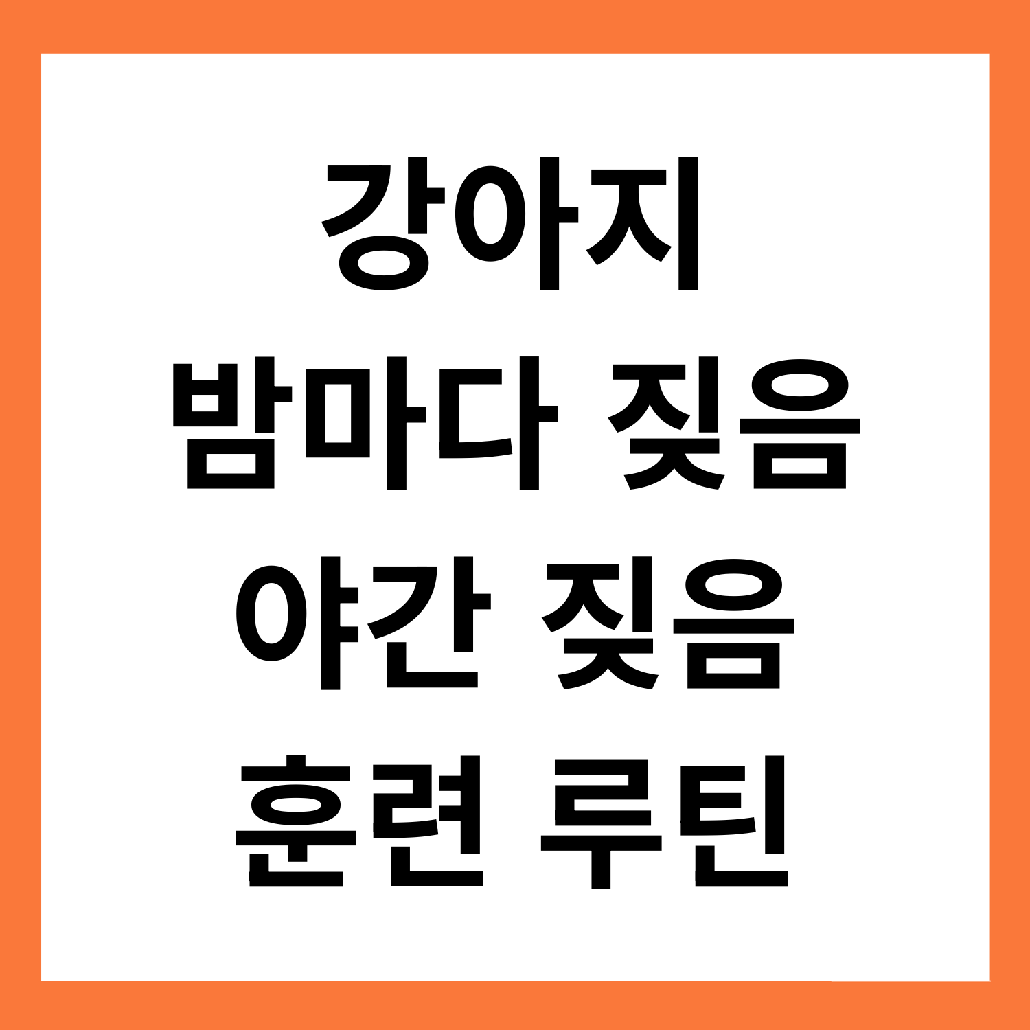 강아지가 밤마다 짖어요… 밤 짖음 훈련 루틴 정리