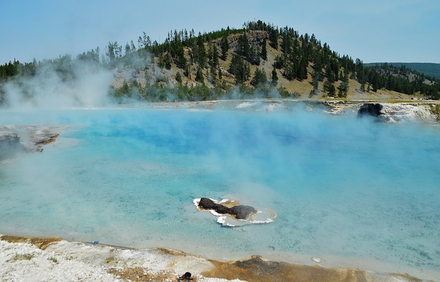 옐로우스톤 국립공원에서 꼭 봐야 할 자연 현상 (지열지대, 야생동물 등 3박4일코스)
