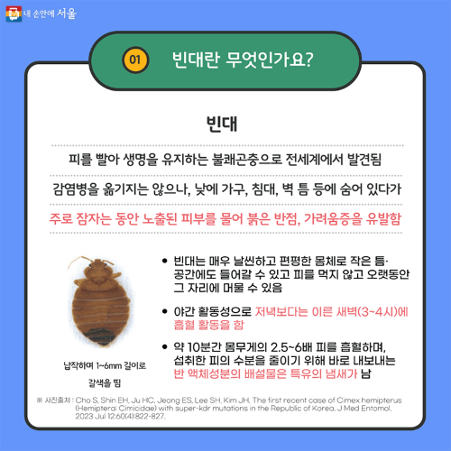 빈대 예방 증상 치료방법 체크리스트