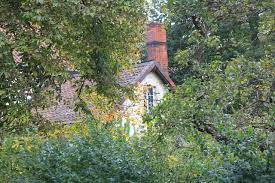 서울시 1인가구 전월세 안심계약도움서비스 신청대상과 지원형태