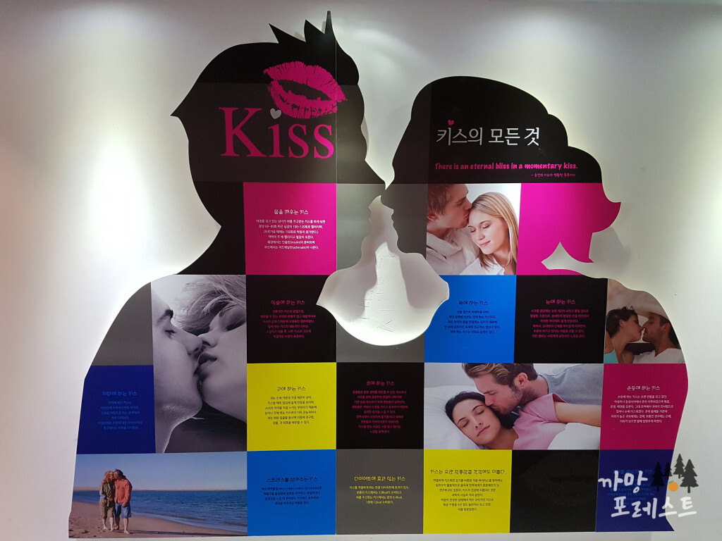 건강과 성 박물관 키스