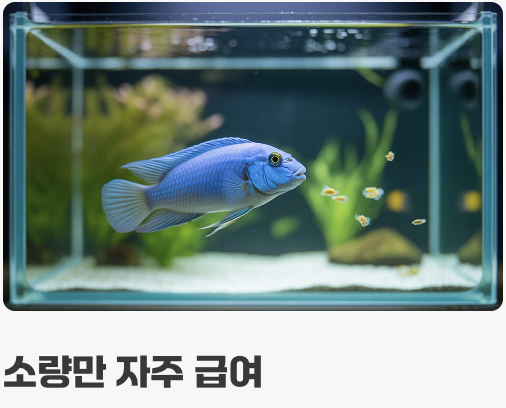 먹이 - '채식' 위주의 건강한 식단
