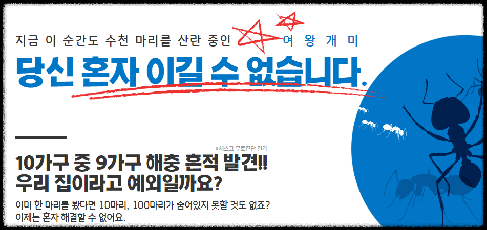 세스코 가정집 비용 아파트,원룸,투룸 가격 (셀프진단)