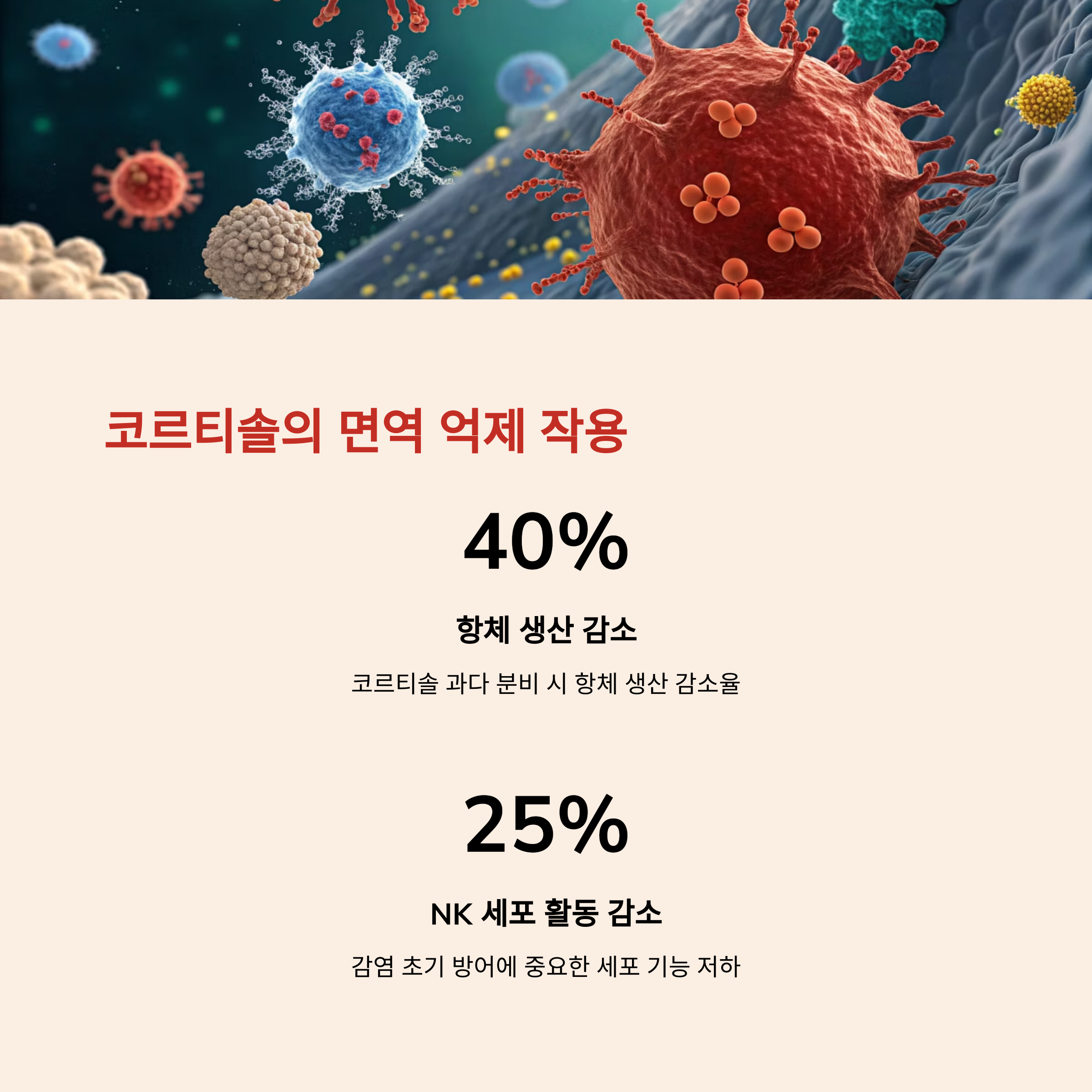코르티솔의 면역 억제 작용