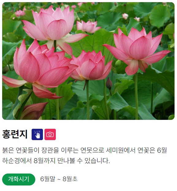 양평 세미원
