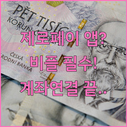 제로페이 앱 선택 기준과 비플페이 계..