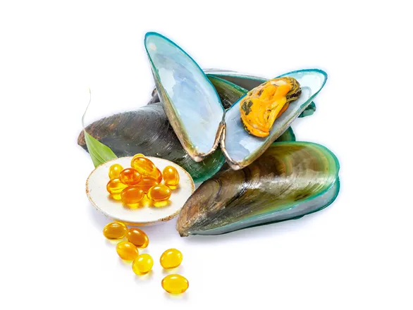 초록입홍합 섭취량 칼로리_6