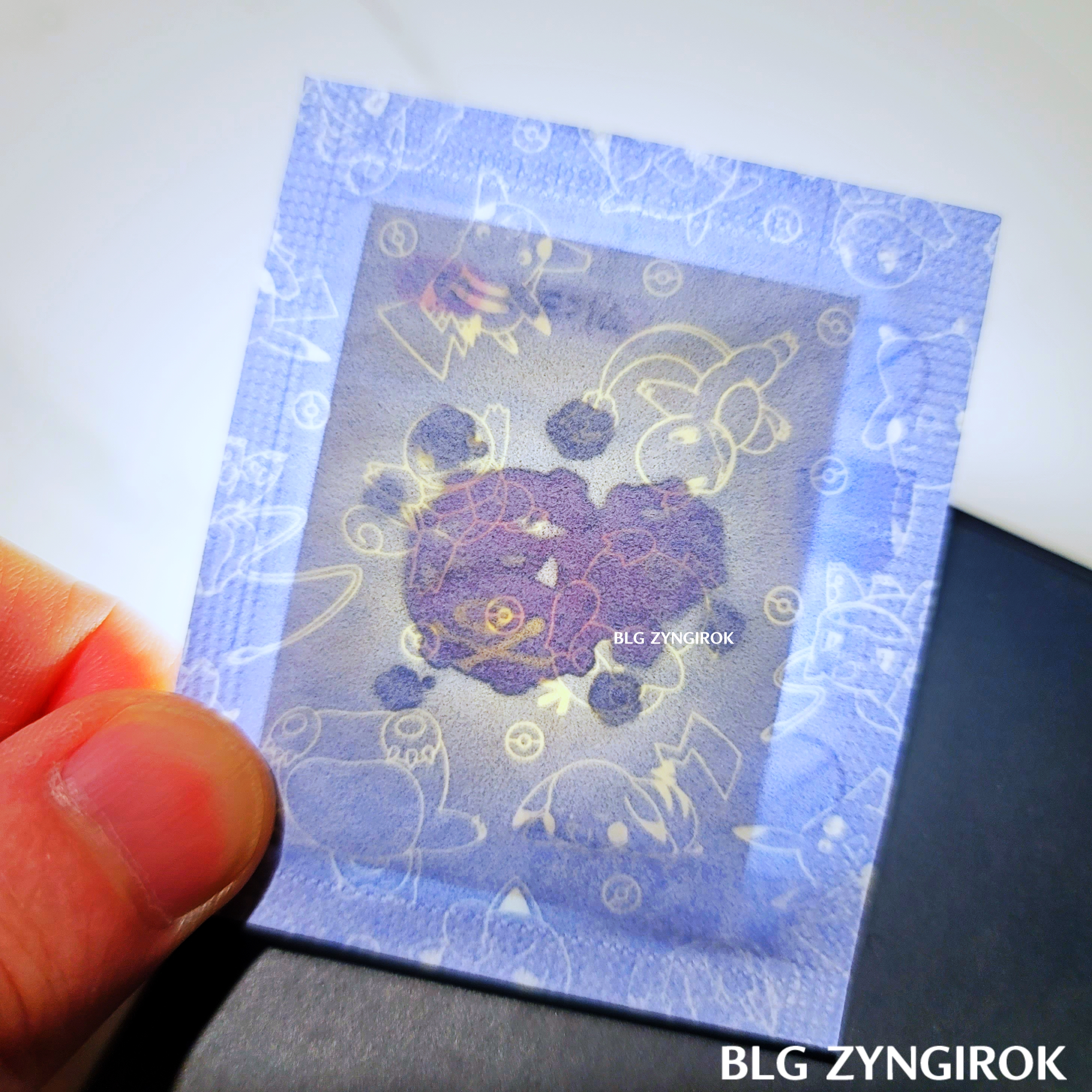 띠부띠부씰-또돗가스를-들고있다.