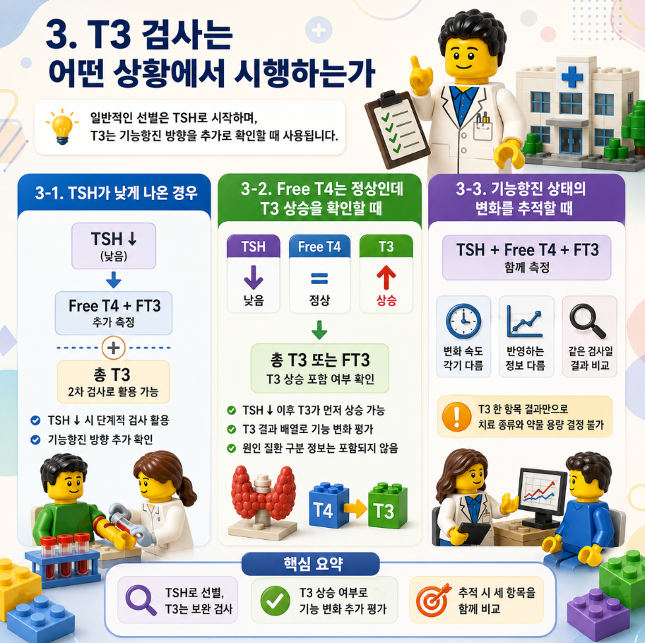 T3 검사가 시행되는 상황과 TSH·Free T4·T3 결과 조합을 설명하는 레고 스타일 메디컬 인포그래픽