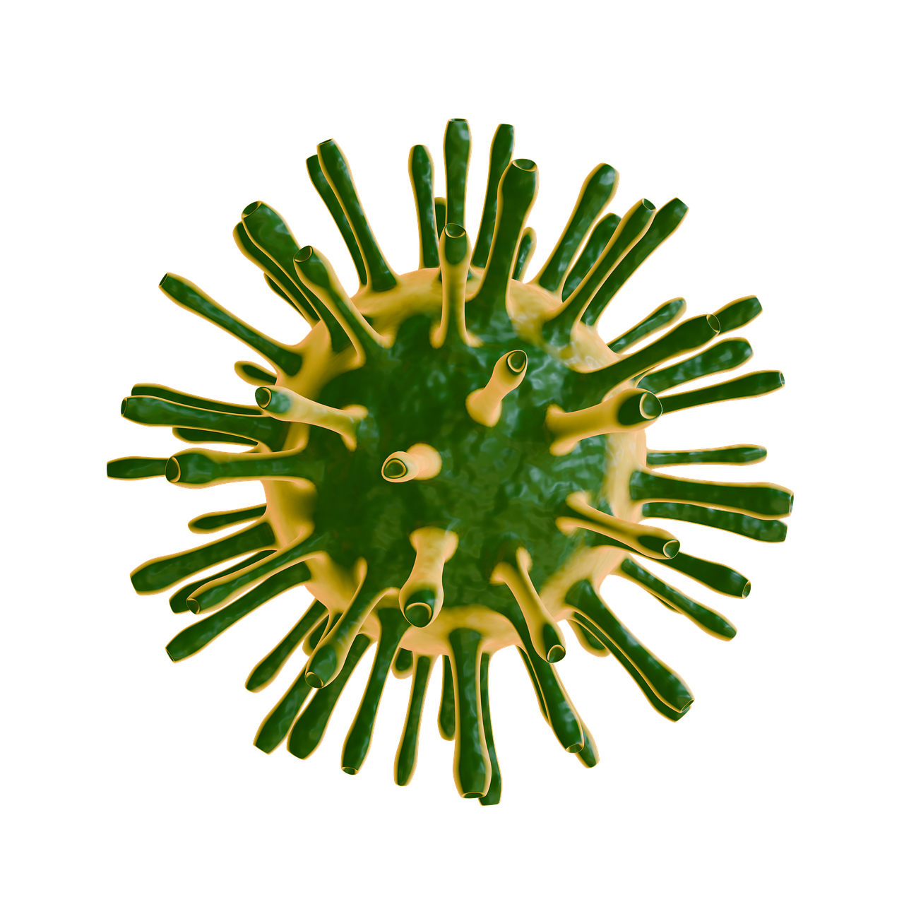 65세독감 예방접종 사전예약 시스템