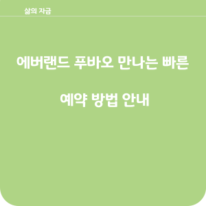 에버랜드 푸아오 예약