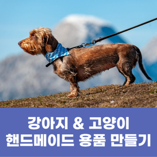 강아지 &amp; 고양이 핸드메이드 용품 만들기