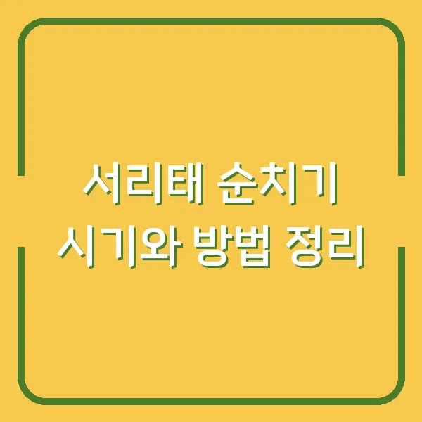 서리태 순치기 시기와 방법 정리