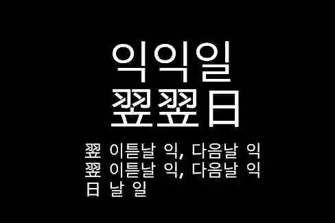 익익일 翌翌日