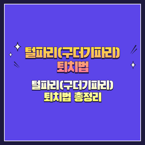 털파리(구더기파리) 퇴치법 총정리