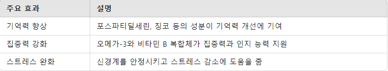 뇌 영양제의 역할 요약