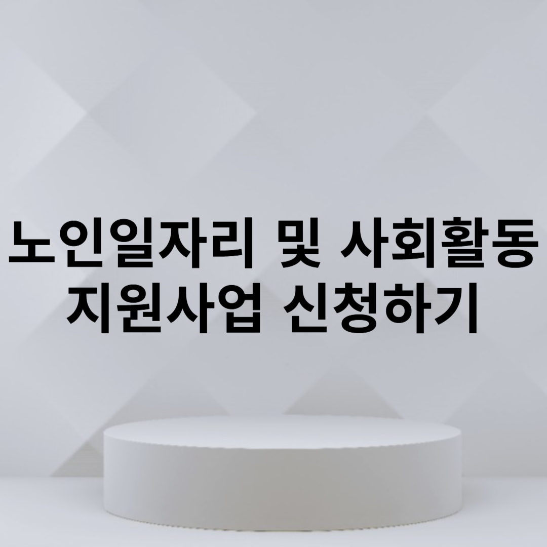 노인일자리 및 사회활동 지원사업
