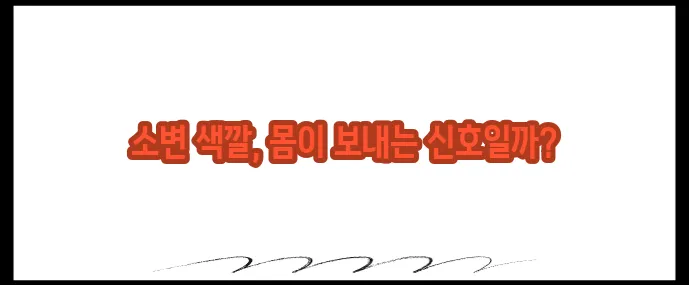 소변 색깔로 보는 건강 신호 (+사진 예시 포함)
