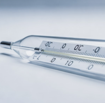 겨울철 무우 보관법