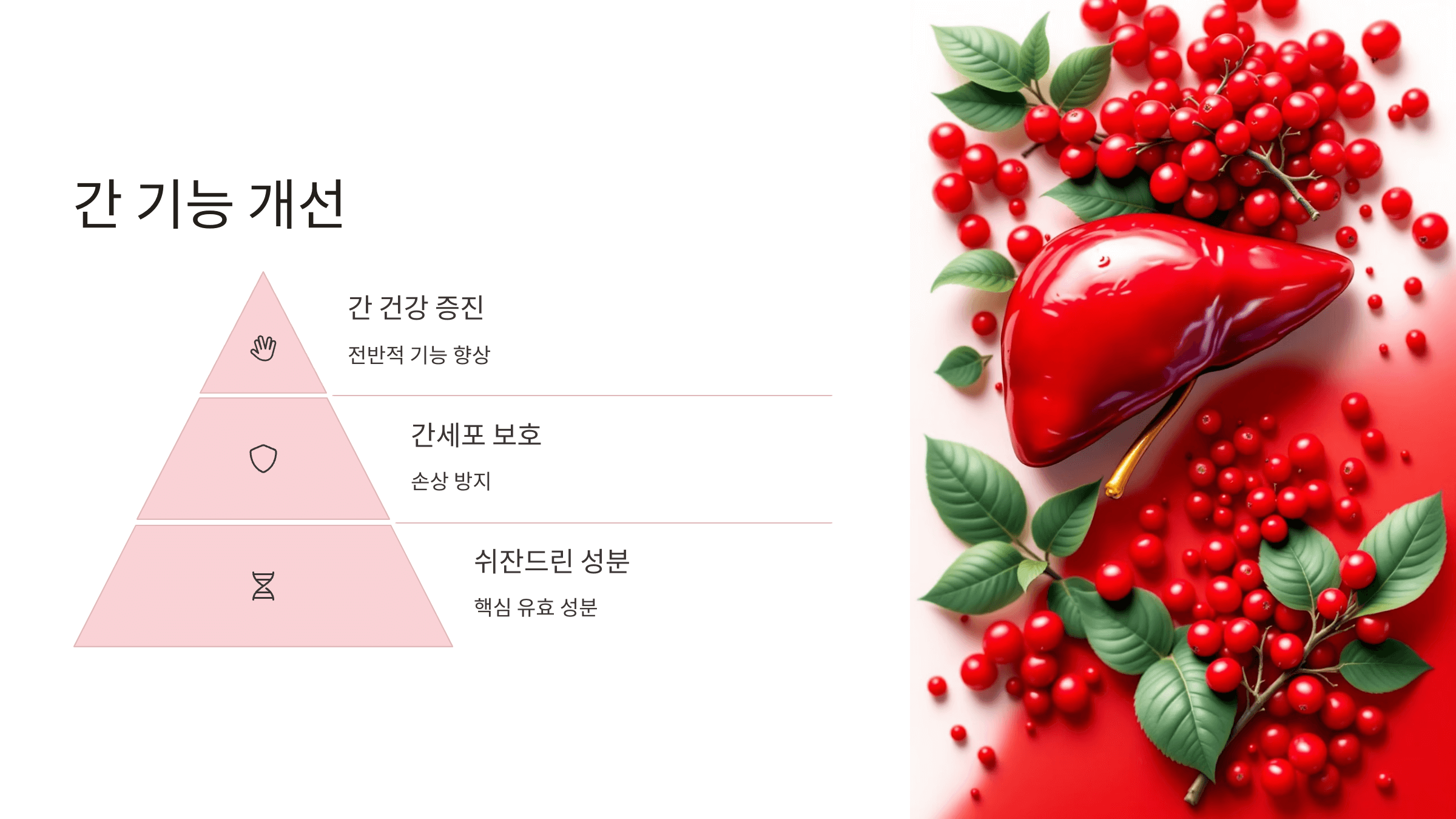 오미자 사진입니다.