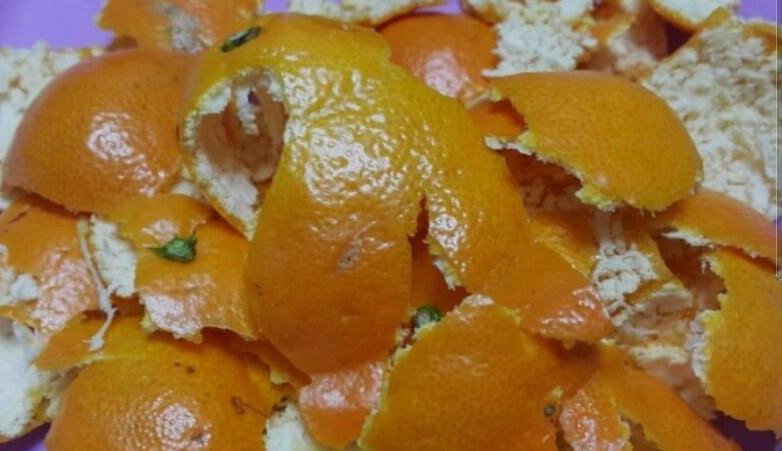 귤껍질-음식물쓰레기