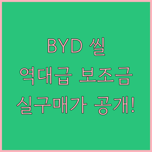 2026년 BYD 씰 Dynamic ..
