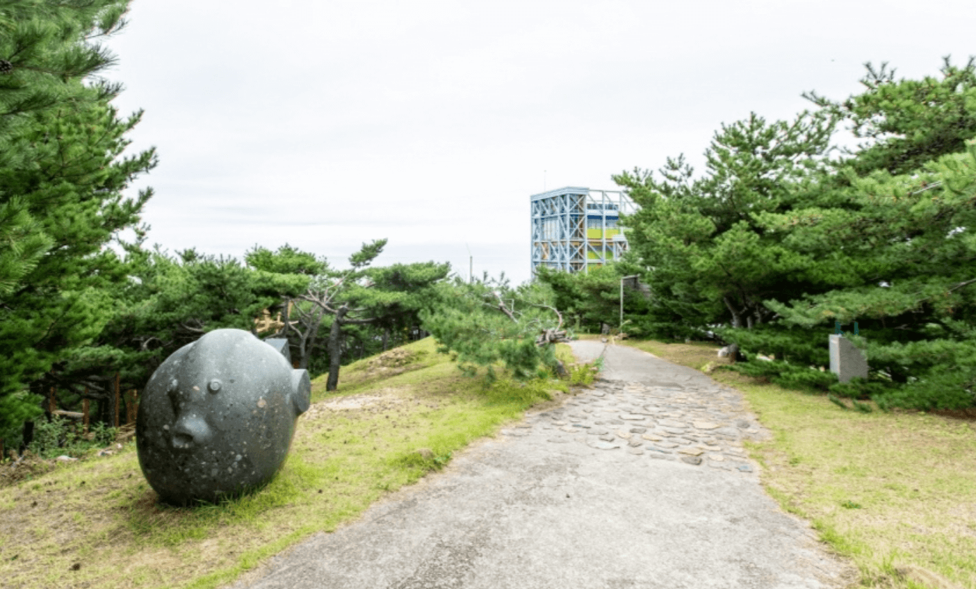 강원도 겨울 반려동물 애견 동반 여행지 추천