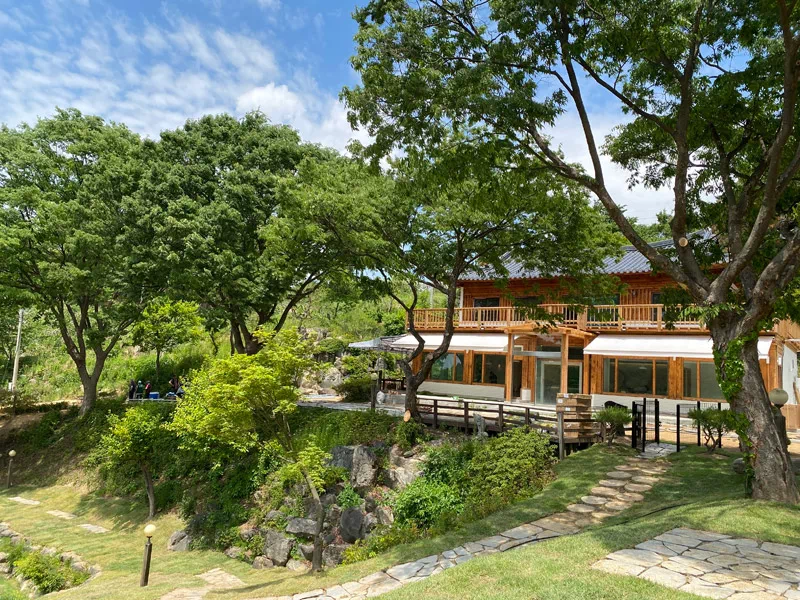 애견 카페 크고 괜찮은 곳12