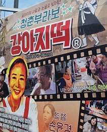 청춘부라보