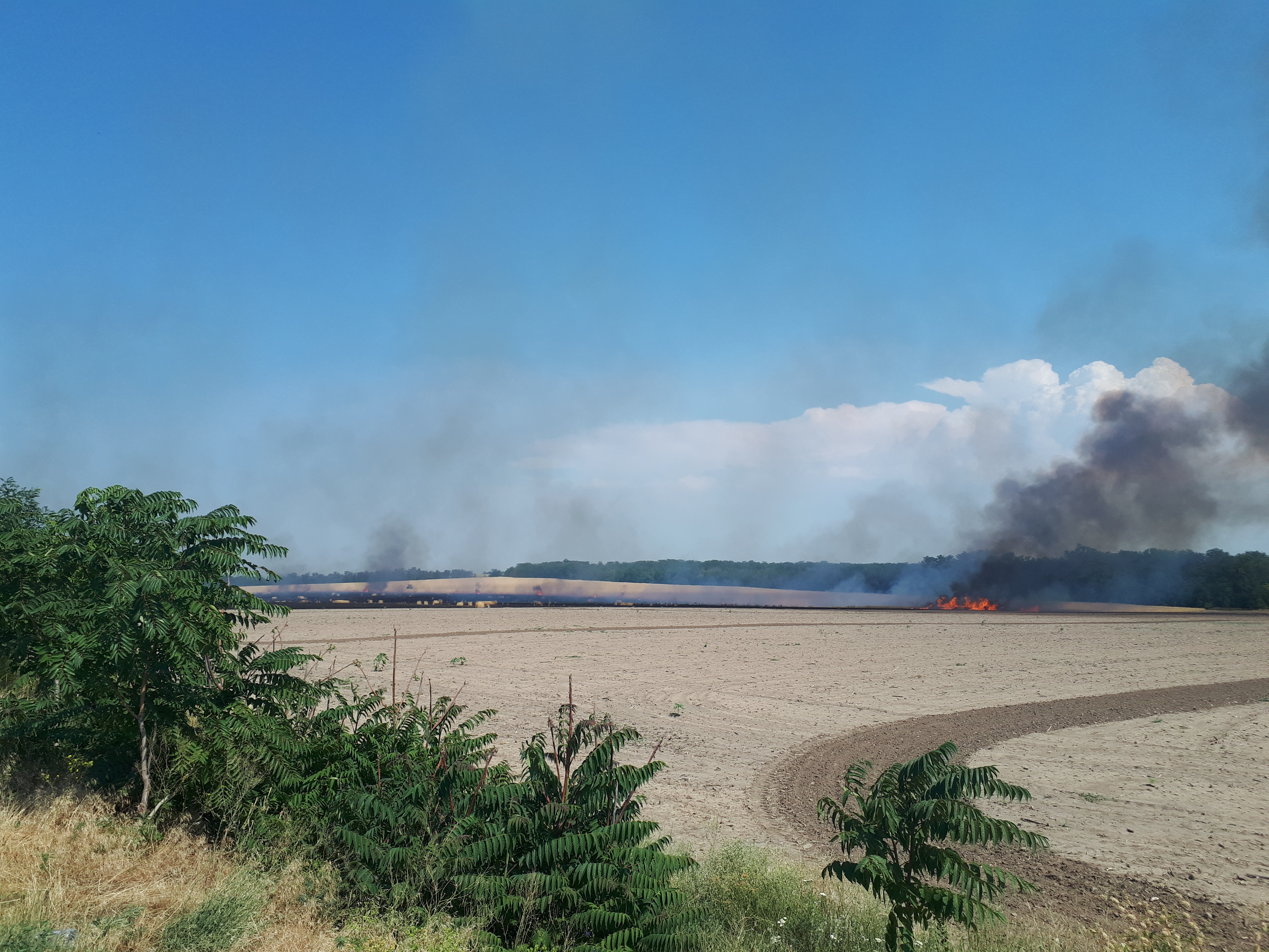 우크라이나 엔너호다 화전