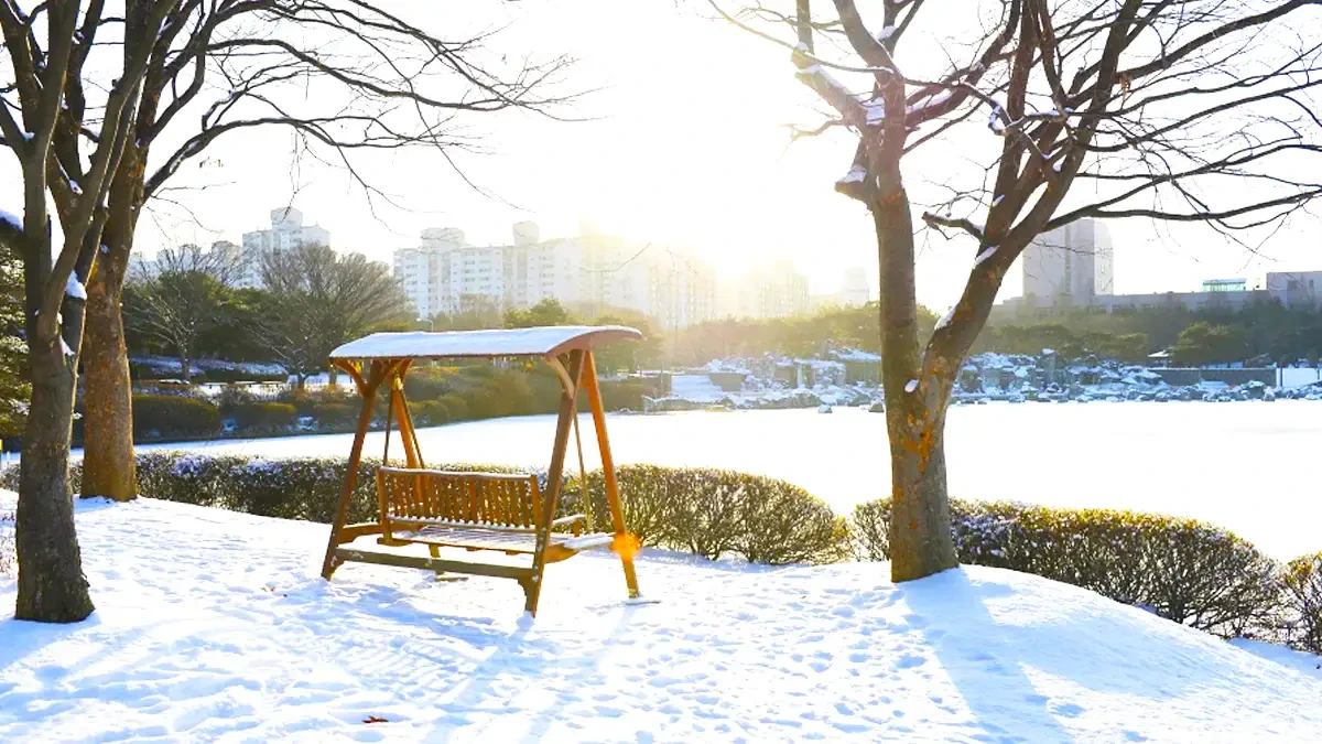 고양시 반려견 겨울 나들이 명소, 강아지와 함께 걷기 좋은 산책 코스