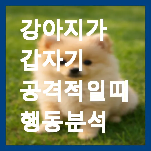 강아지가 갑자기 공격적일 때 행동 분석
