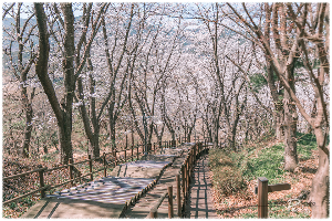 봉성산