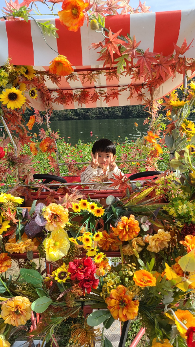 자라섬 꽃페스타