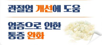 보스웰리아 효능