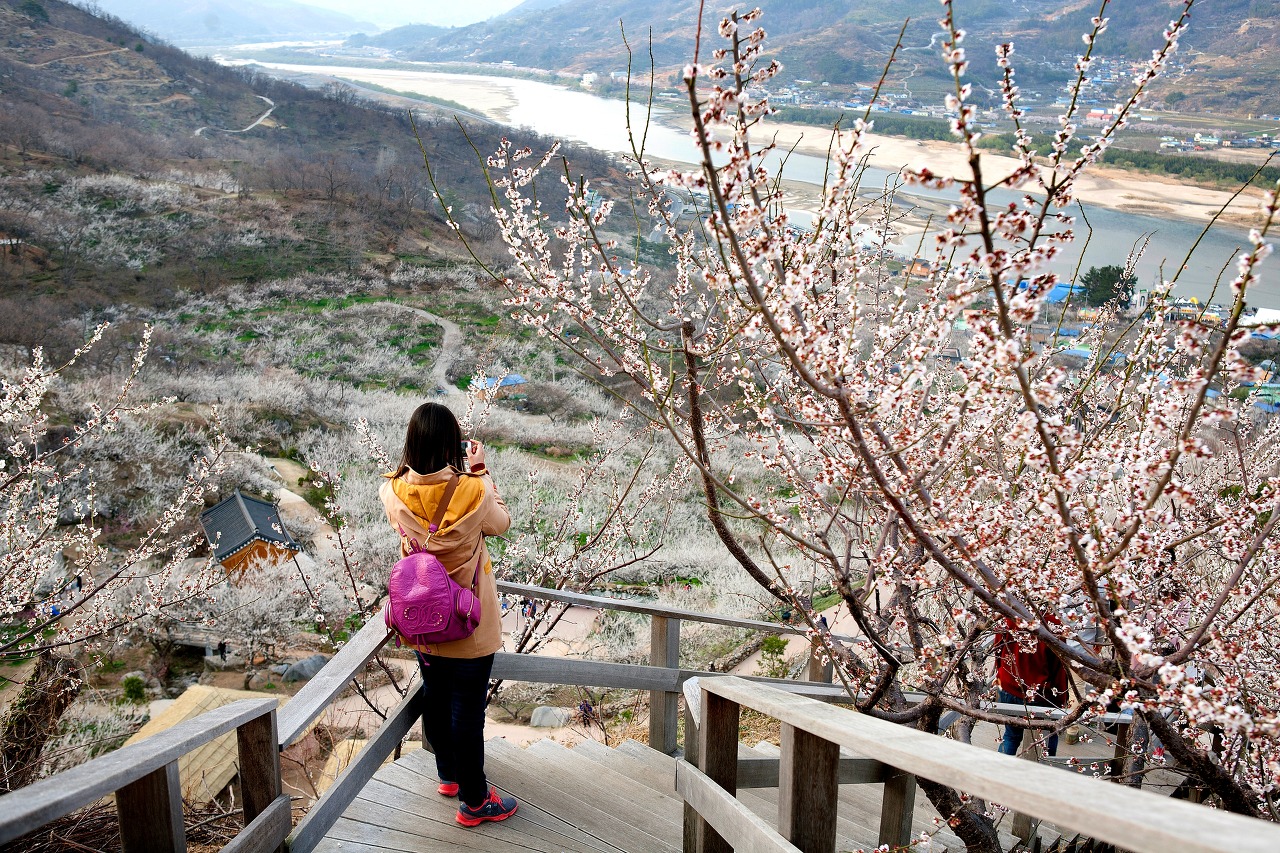 광양 매화축제광양 매화축제광양 매화축제광양 매화축제광양 매화축제광양 매화축제광양 매화축제광양 매화축제광양 매화축제광양 매화축제광양 매화축제광양 매화축제광양 매화축제광양 매화축제광양 매화축제광양 매화축제광양 매화축제광양 매화축제광양 매화축제광양 매화축제광양 매화축제광양 매화축제광양 매화축제광양 매화축제광양 매화축제광양 매화축제광양 매화축제광양 매화축제광양 매화축제광양 매화축제광양 매화축제광양 매화축제광양 매화축제광양 매화축제광양 매화축제광양 매화축제광양 매화축제광양 매화축제광양 매화축제광양 매화축제광양 매화축제광양 매화축제광양 매화축제광양 매화축제광양 매화축제광양 매화축제광양 매화축제광양 매화축제광양 매화축제광양 매화축제광양 매화축제광양 매화축제광양 매화축제광양 매화축제광양 매화축제광양 매화축제광양 매화축제광양 매화축제광양 매화축제광양 매화축제광양 매화축제광양 매화축제광양 매화축제광양 매화축제광양 매화축제광양 매화축제광양 매화축제광양 매화축제광양 매화축제광양 매화축제광양 매화축제광양 매화축제광양 매화축제광양 매화축제광양 매화축제광양 매화축제광양 매화축제광양 매화축제광양 매화축제광양 매화축제광양 매화축제광양 매화축제광양 매화축제광양 매화축제광양 매화축제광양 매화축제광양 매화축제광양 매화축제광양 매화축제광양 매화축제광양 매화축제광양 매화축제광양 매화축제광양 매화축제광양 매화축제광양 매화축제광양 매화축제광양 매화축제광양 매화축제광양 매화축제광양 매화축제광양 매화축제광양 매화축제광양 매화축제광양 매화축제광양 매화축제광양 매화축제광양 매화축제광양 매화축제광양 매화축제광양 매화축제광양 매화축제광양 매화축제광양 매화축제광양 매화축제광양 매화축제광양 매화축제광양 매화축제광양 매화축제광양 매화축제광양 매화축제광양 매화축제광양 매화축제광양 매화축제광양 매화축제광양 매화축제광양 매화축제광양 매화축제광양 매화축제광양 매화축제광양 매화축제광양 매화축제광양 매화축제광양 매화축제광양 매화축제광양 매화축제광양 매화축제광양 매화축제광양 매화축제광양 매화축제광양 매화축제광양 매화축제광양 매화축제광양 매화축제광양 매화축제광양 매화축제광양 매화축제광양 매화축제광양 매화축제광양 매화축제광양 매화축제광양 매화축제광양 매화축제광양 매화축제광양 매화축제광양 매화축제광양 매화축제광양 매화축제광양 매화축제광양 매화축제광양 매화축제광양 매화축제광양 매화축제광양 매화축제광양 매화축제광양 매화축제광양 매화축제광양 매화축제광양 매화축제광양 매화축제광양 매화축제광양 매화축제광양 매화축제광양 매화축제광양 매화축제광양 매화축제광양 매화축제광양 매화축제광양 매화축제광양 매화축제광양 매화축제광양 매화축제광양 매화축제광양 매화축제광양 매화축제광양 매화축제광양 매화축제광양 매화축제광양 매화축제광양 매화축제광양 매화축제광양 매화축제