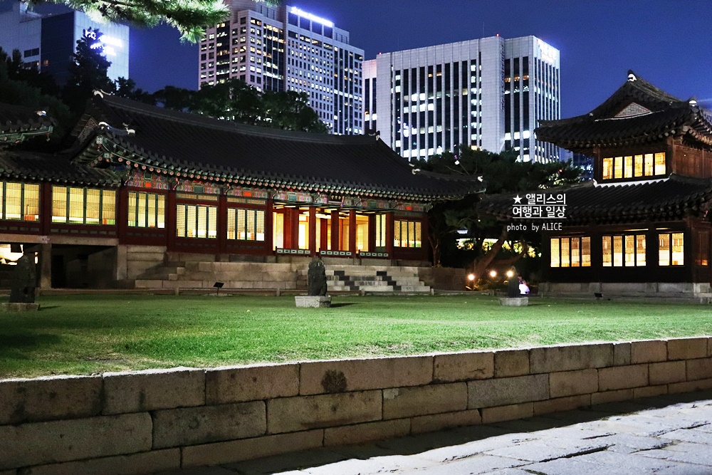 덕수궁 야간개장 방문후기 야간 덕수궁 야간투어 궁궐야행