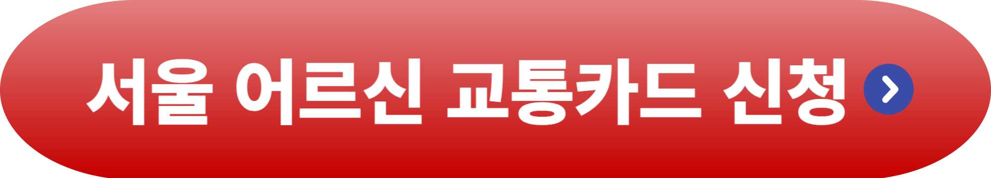 65세 이상 교통카드