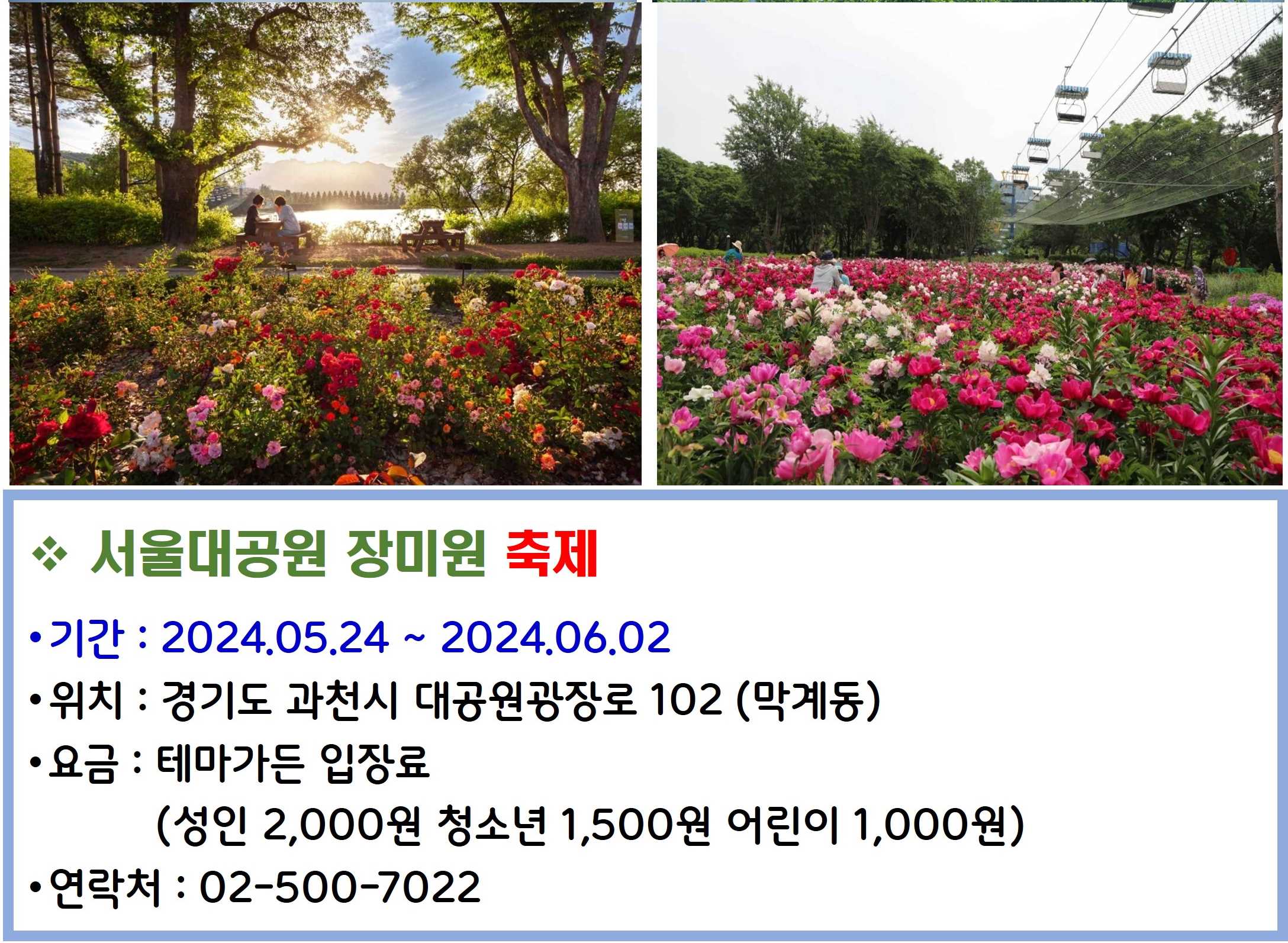 서울대공원 장미원축제