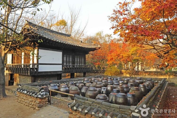 수원&middot;용인 단풍 명소 BEST 5 : 광교호수공원&middot;수원화성&middot;용인민속촌&middot;에버랜드&middot;용인자연휴양림