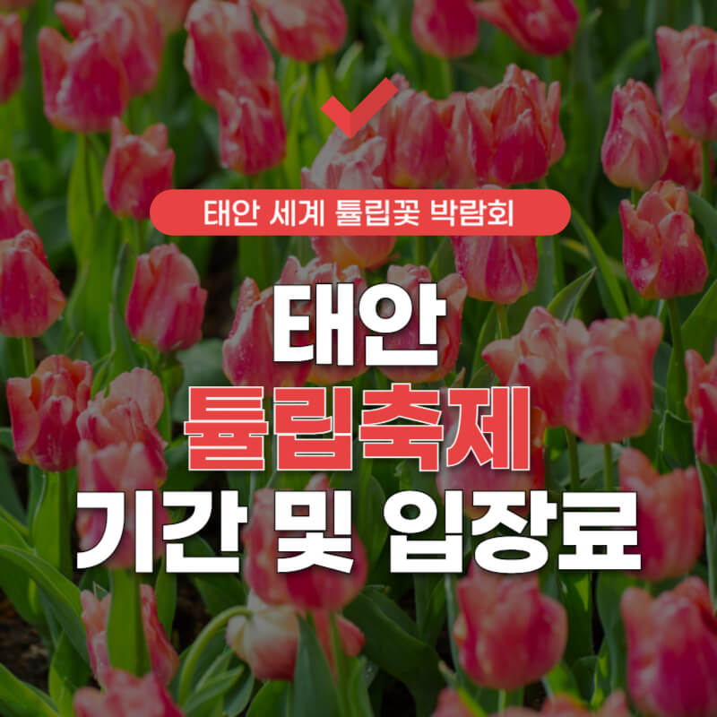 태안-튤립축제-기간-썸네일
