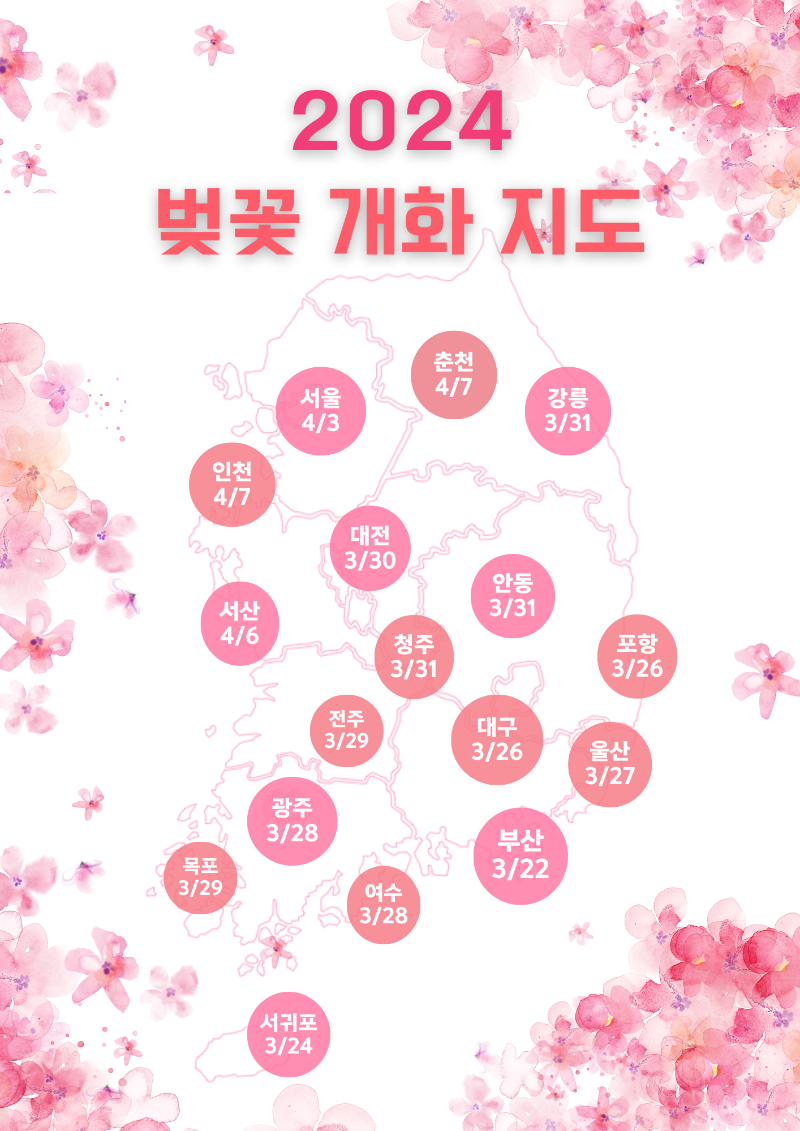2024 벚꽃 개화 지도
