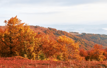 2023λ
λ¨νμκΈ° μμΈ‘μ§λ