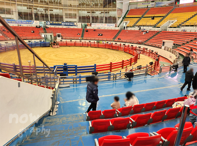 청도-소싸움경기장