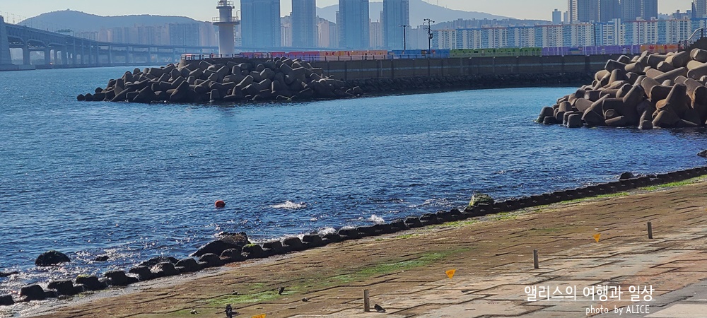 부산 켄트호텔 주변 가볼만한 곳 해변산책 민락수변공원 해녀